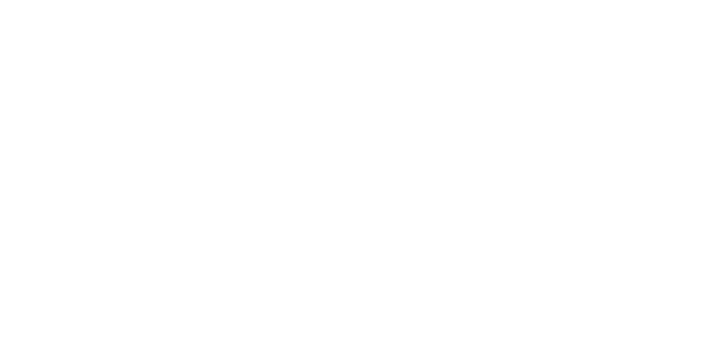 Advanti Wheel